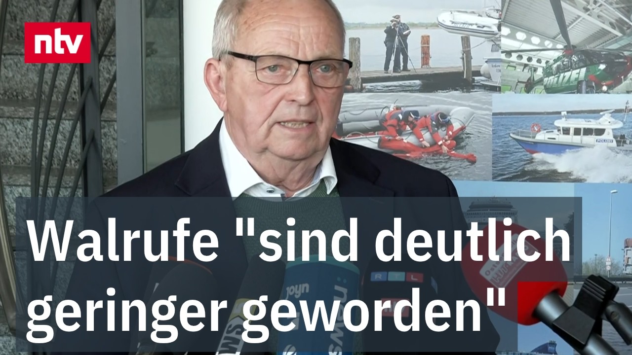 MV-Minister Backhaus zum Zustand des Wals vor Wismar | ntv