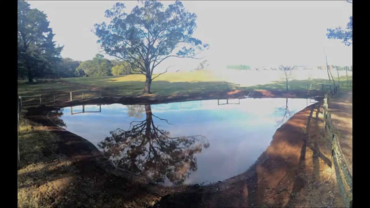 Sealing a leaking pond