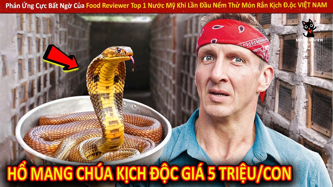 Phản Ứng Cực Bất Ngờ Của Food Reviewer Top 1 Nước Mỹ Khi Lần Đầu Nếm Thử Món Rắn Kịch Đ.ộc VIỆT NAM