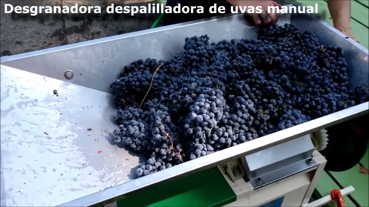 Despalilladora de UVA estrujadora manual UVAS CB