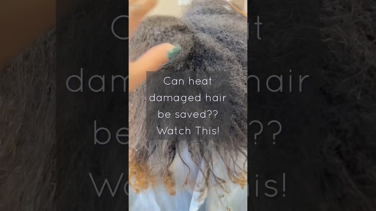 Can heat damaged hair be repaired? #heatdamage #naturalhair #haircare