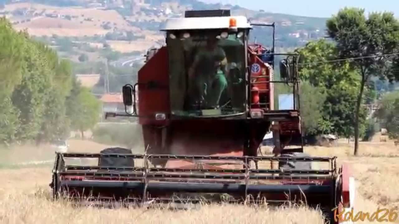 New Holland 3550 Al -Trebbiatura 2015-  Az. Agr. Ciaffoni