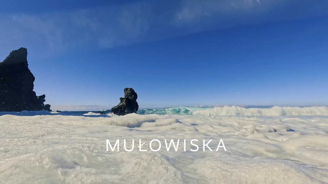 Różnorodność biologiczna. Mułowiska