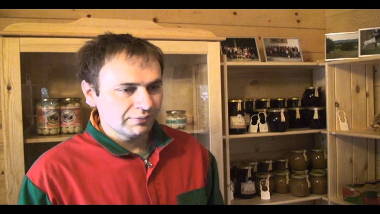 Kmetija Kastelic