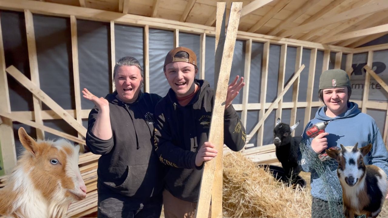 Beginning the renovation of our DREAM GOAT BARN BUILD!