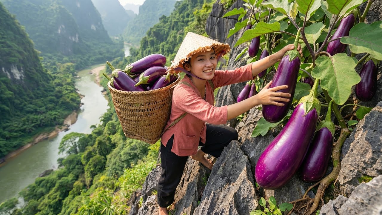 Harvesting 200kg of GIANT Eggplants, a Small Girl Takes Them to the Market Sell | Countryside Life