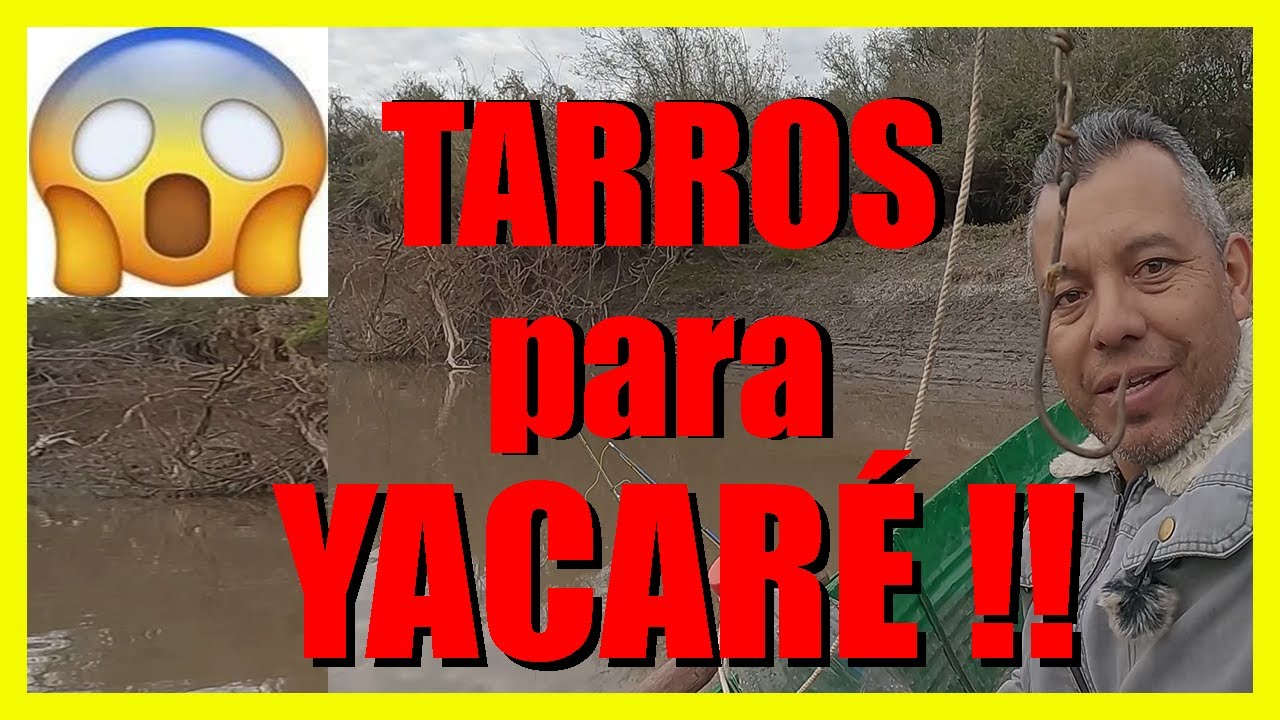 pesca, en Río Gualeguay, pesca con tarros, pesca de tarariras, pesca y devolución, pesca de costa