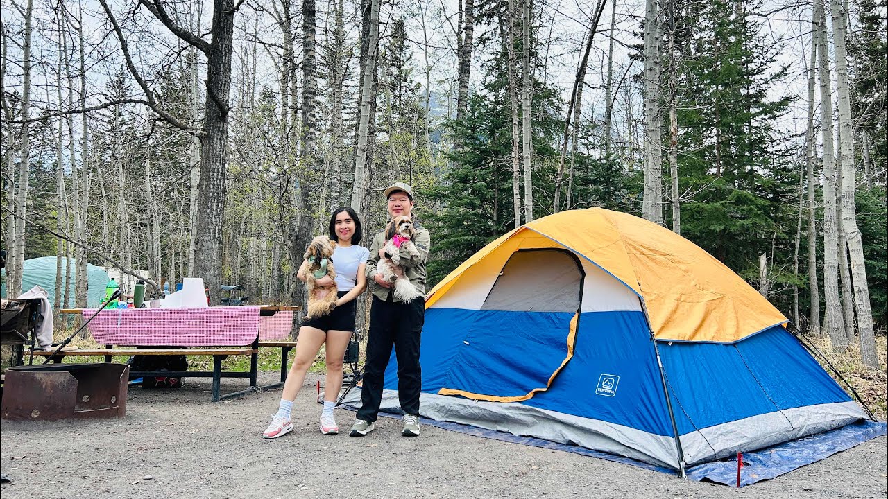 Tent Camping 🏕️ @ Bow River Campground