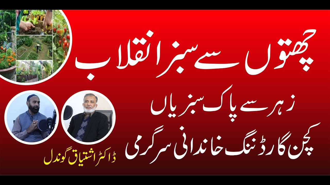 Kitchen Gardening Masterclass with Dr. Ishtiaq Gondal | Roof Farming
