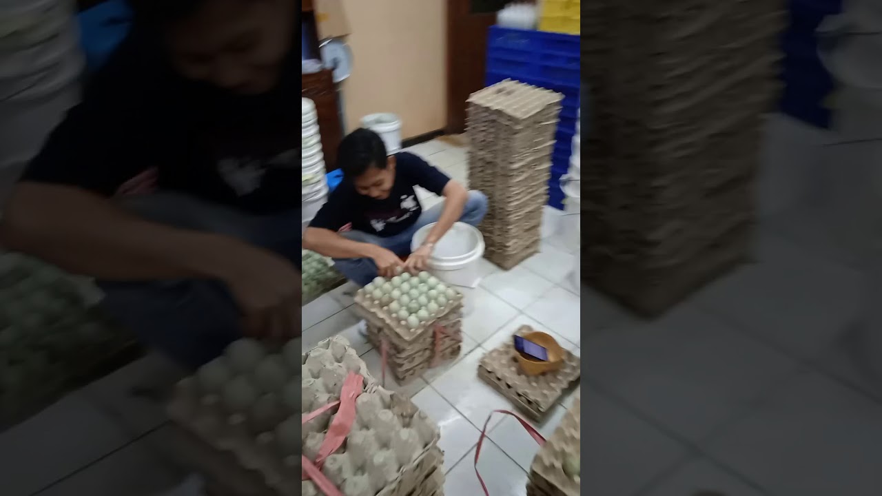 cara bikin telor pitan