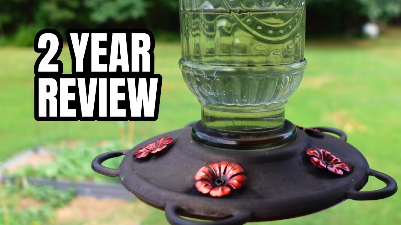 The BEST Hummingbird Feeder (Hummingbirds love this thing)