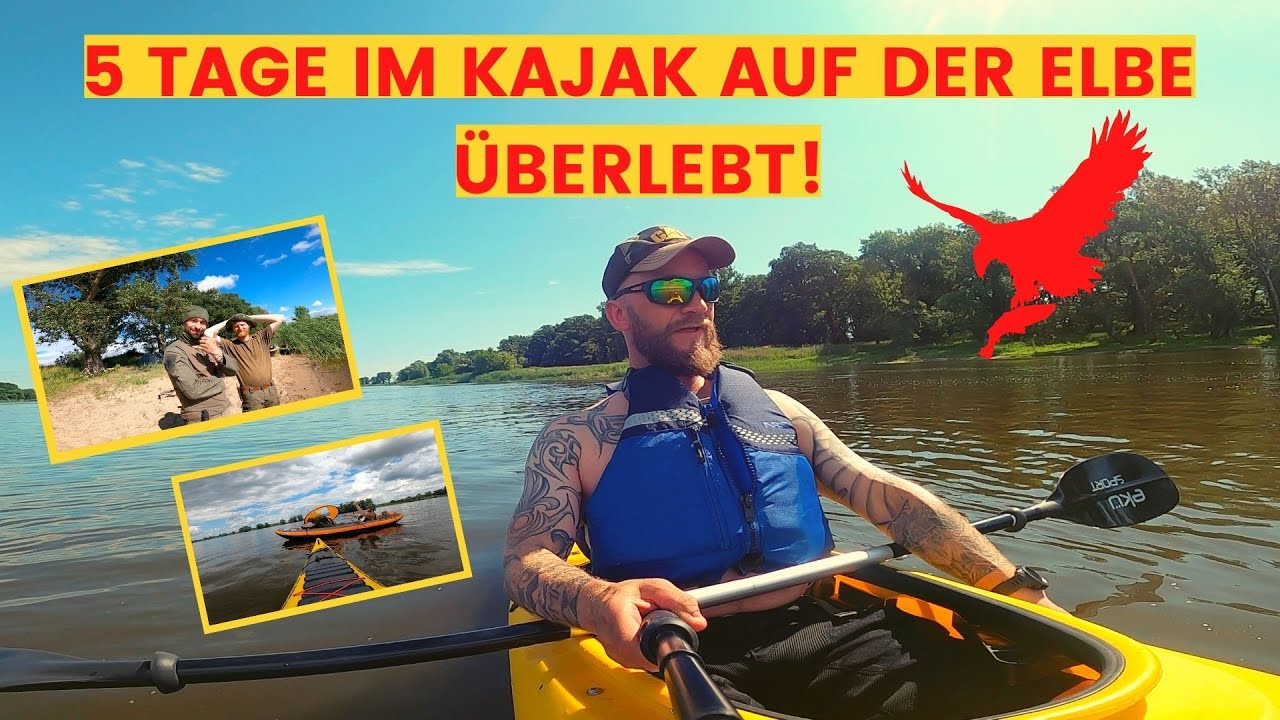Mit Dem Kajak immer der Elbe nach (5Tage). Seeadler greift Fisch vor unseren Augen.