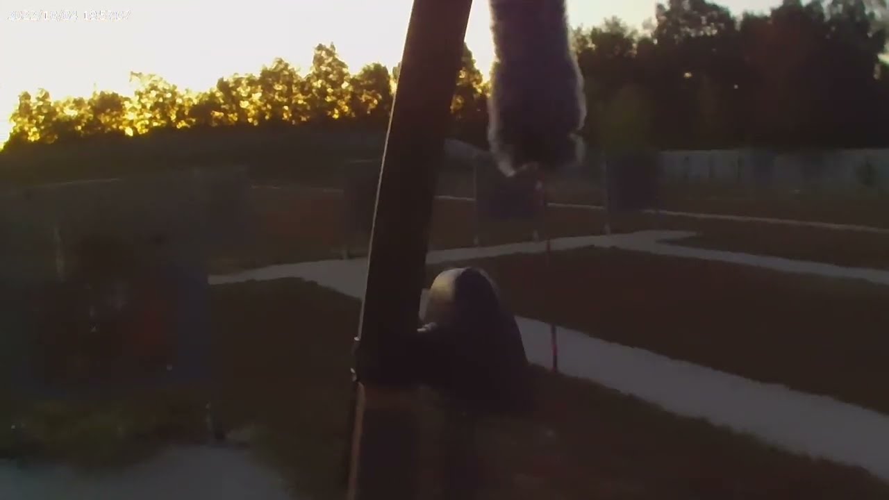 Recurve Bow Pure Traditional Instinctive POV