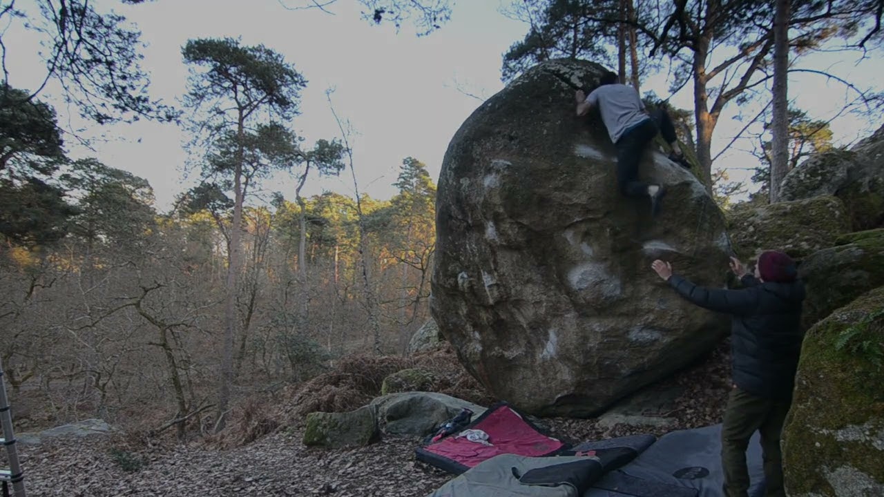 Dans la Foret