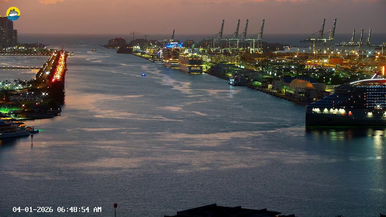 🔴 Port Miami Cruise Ship Terminals - LIVE