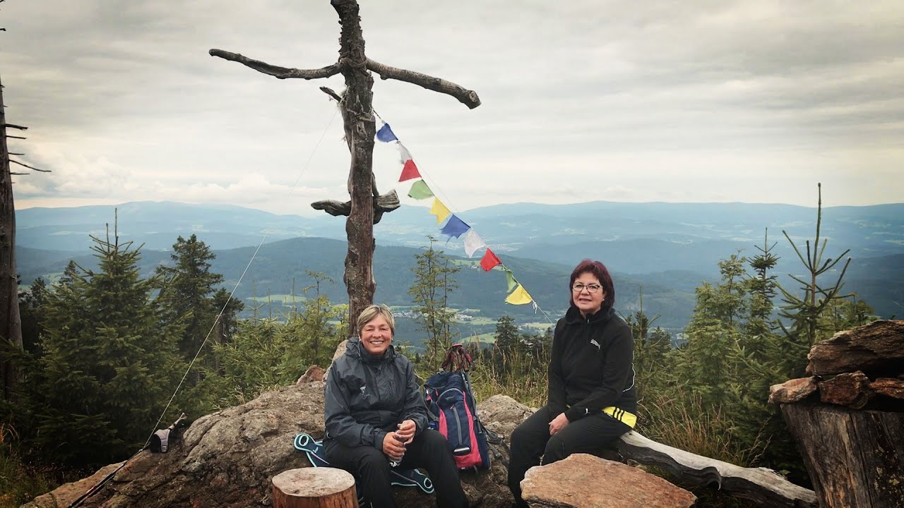 Bayerischer Wald - Schareben Heugstatt Enzian