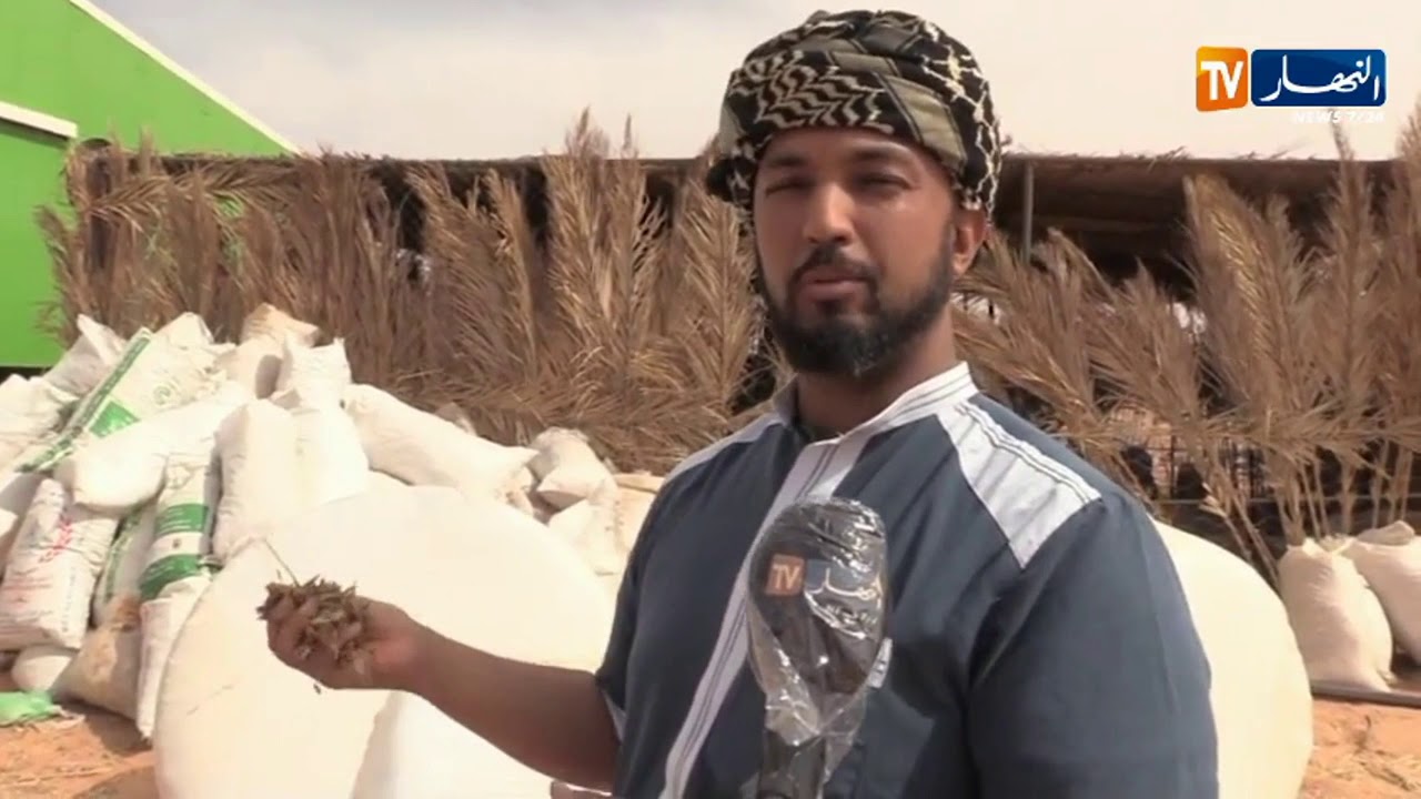 عين صالح: عبد الرؤوف شاب يختار شعبة تربية الأبقار الحلوب يطمح في إنشاء ملبنة