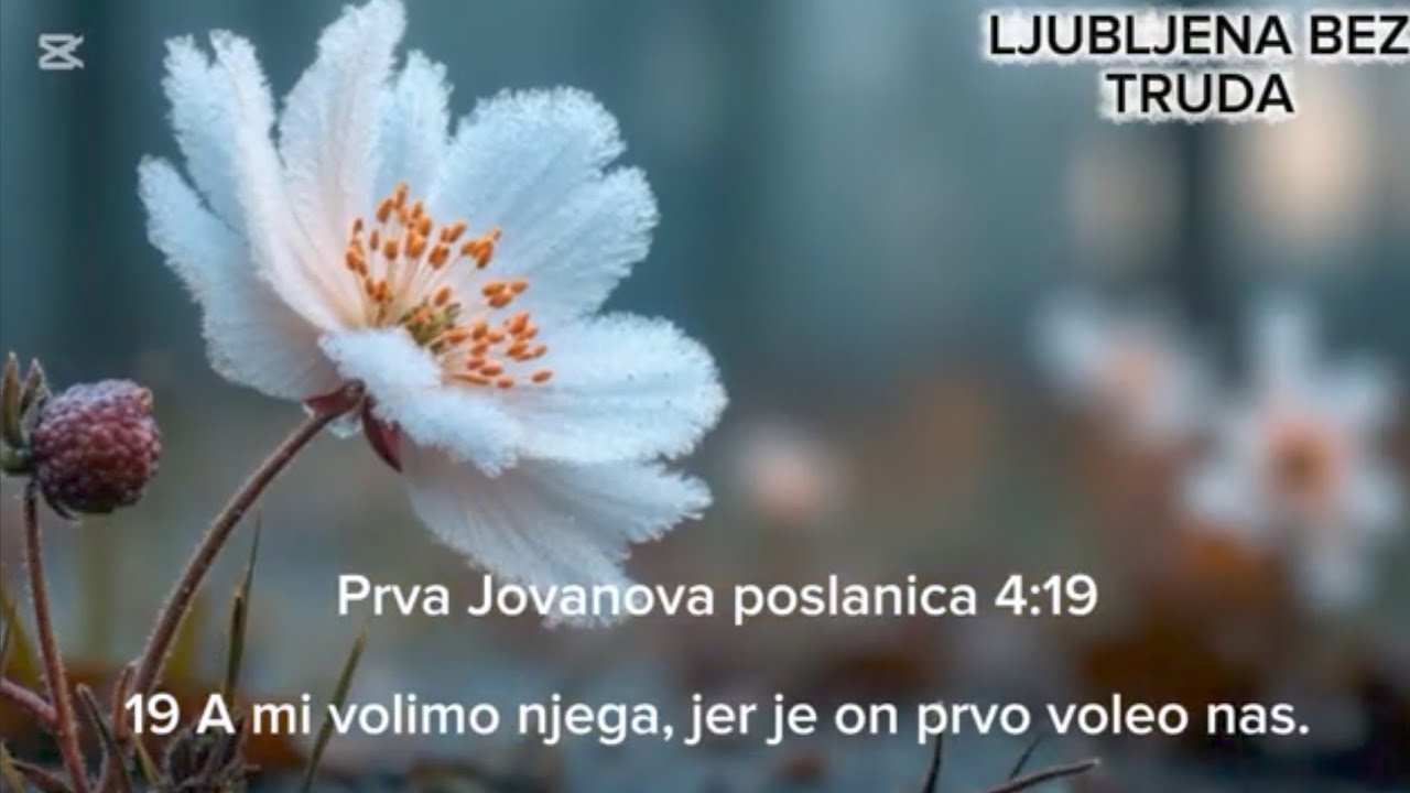 20.Ljubljena bez truda -Sterlin L Blackman