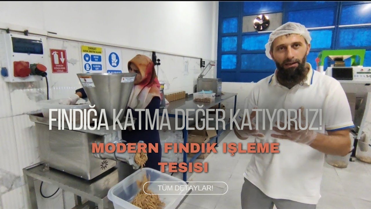 FINDIĞA KATMA DEĞER KATIYORUZ! MODERN FINDIK İŞLEME TESİSİ