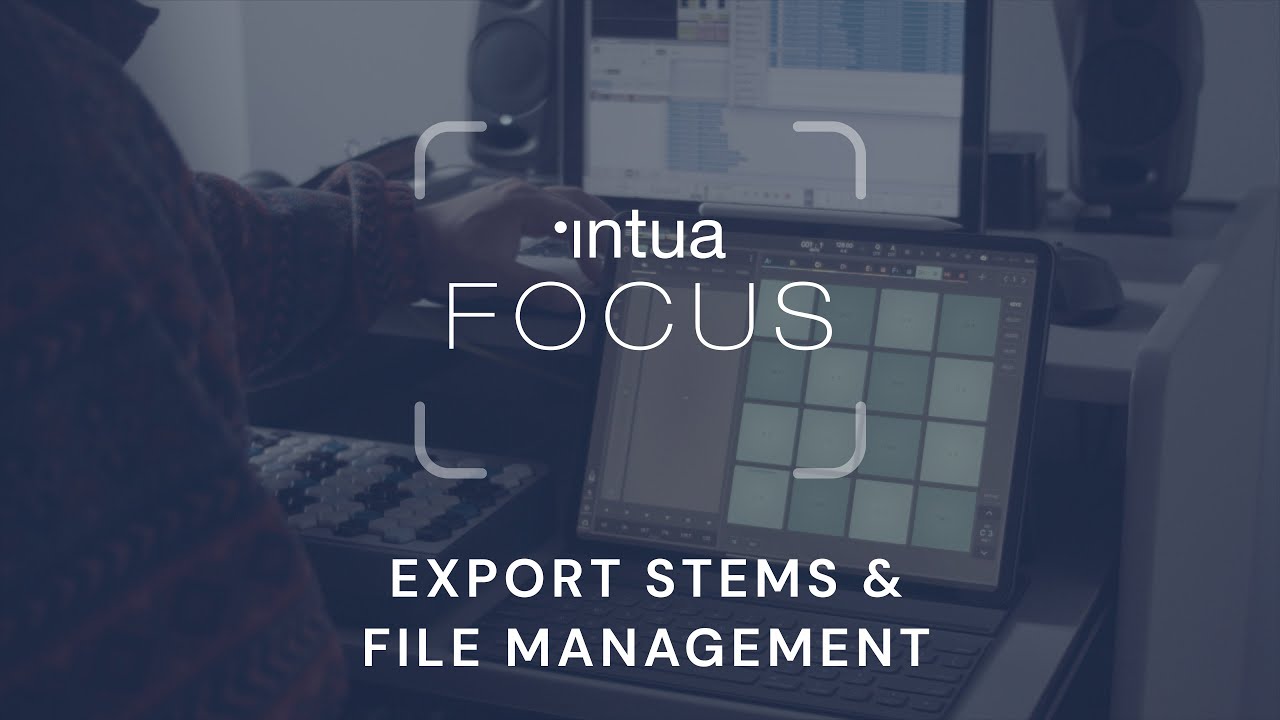INTUA Focus | Export Stems & File Management
