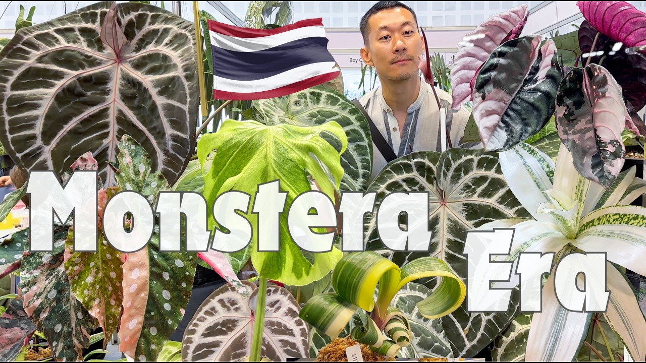 Rare, Expensive, or Just Hype? Mutation Madness at 🇹🇭 Bangkok&rsquo;s Biggest Plant Show