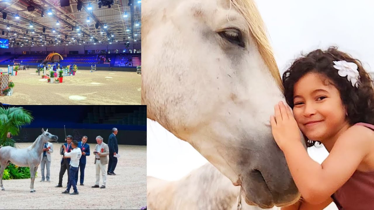 (الجزء الاول) معرض الفرس في الجديدة🐎لعشاق الفرس و التبوريدة🐴،عروض ،ورشات، والخيل العربي الاصيل