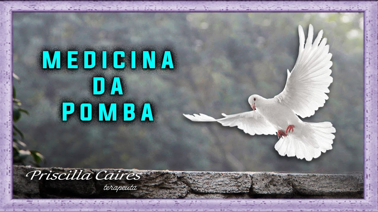Medicina e meditação do arquétipo animal de poder pomba