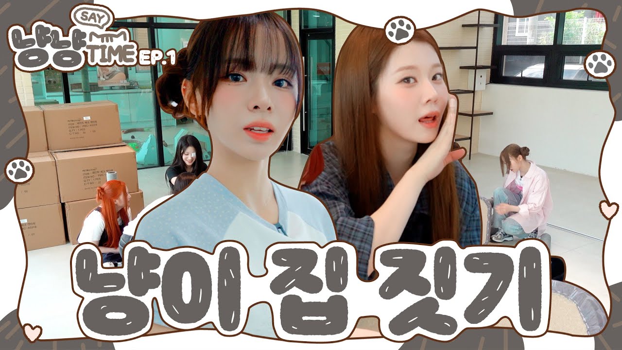 세마넴의 유기묘 보호소 봉사 활동🐈  | 냥이들을 위한 캣타워 만들기 | SAY MY NAME(세이마이네임) | 세이 냥냥 타임🐾 EP.1