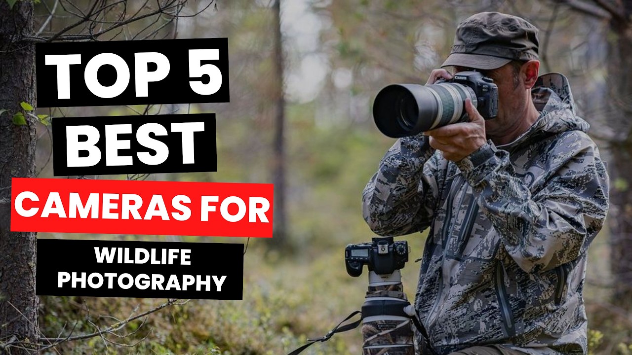 Best Camera for Wildlife Photography 2025 - (Watch Before You Purchase)