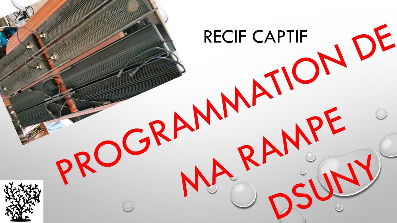 Programmation de ma rampe LED DSUNY - Mr Recif Captif #31