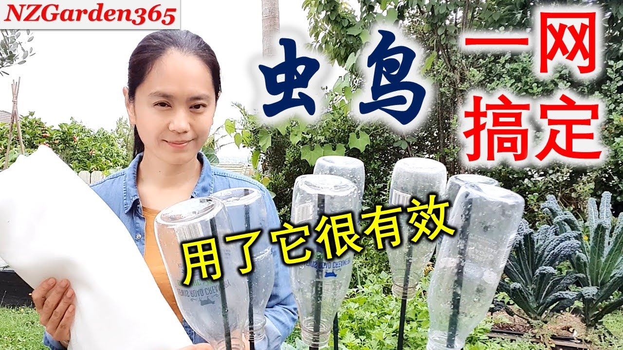 【防虫网】2种方法  不用管子，不用铁丝，效果显著 | 菜框，菜地都能用