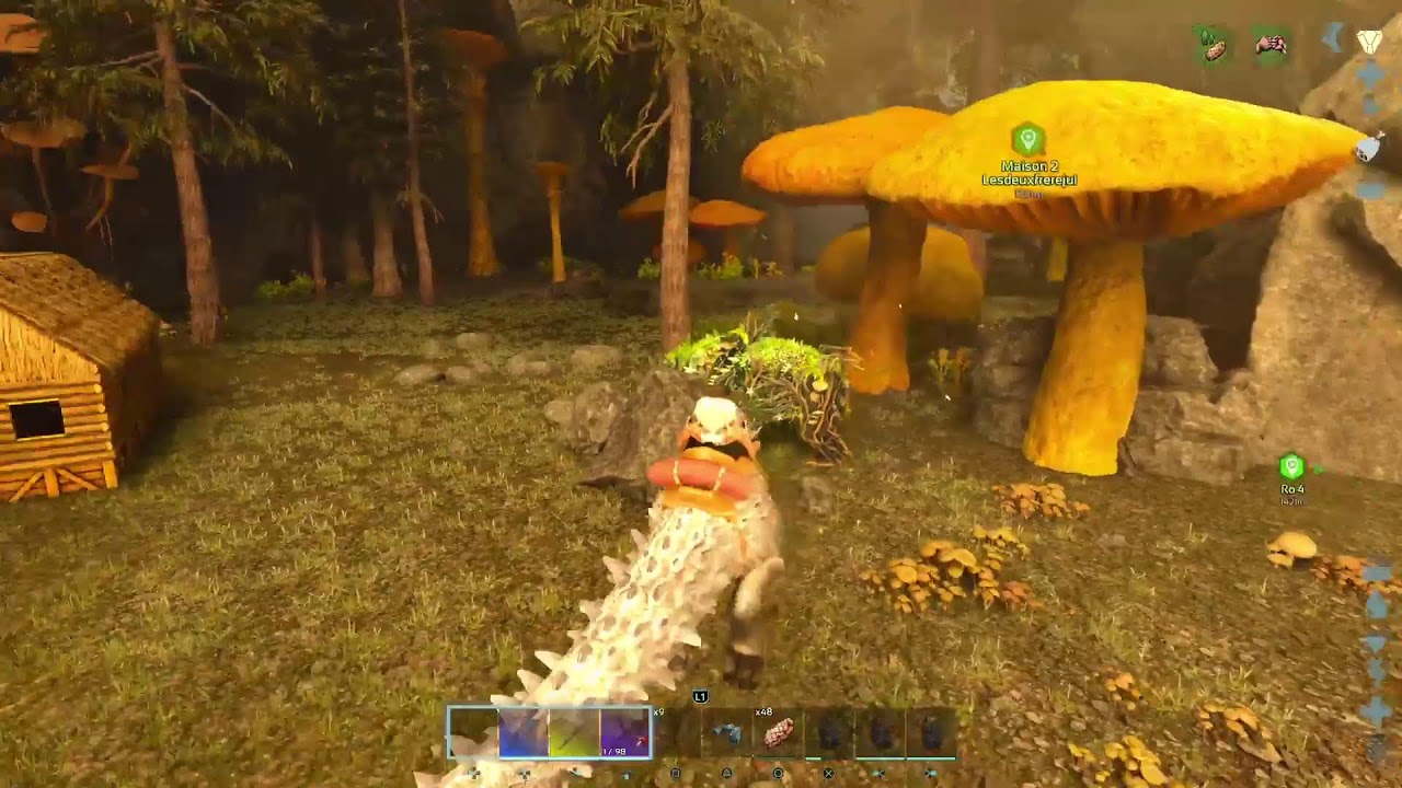 Ank_ps5_paemium verisos cool