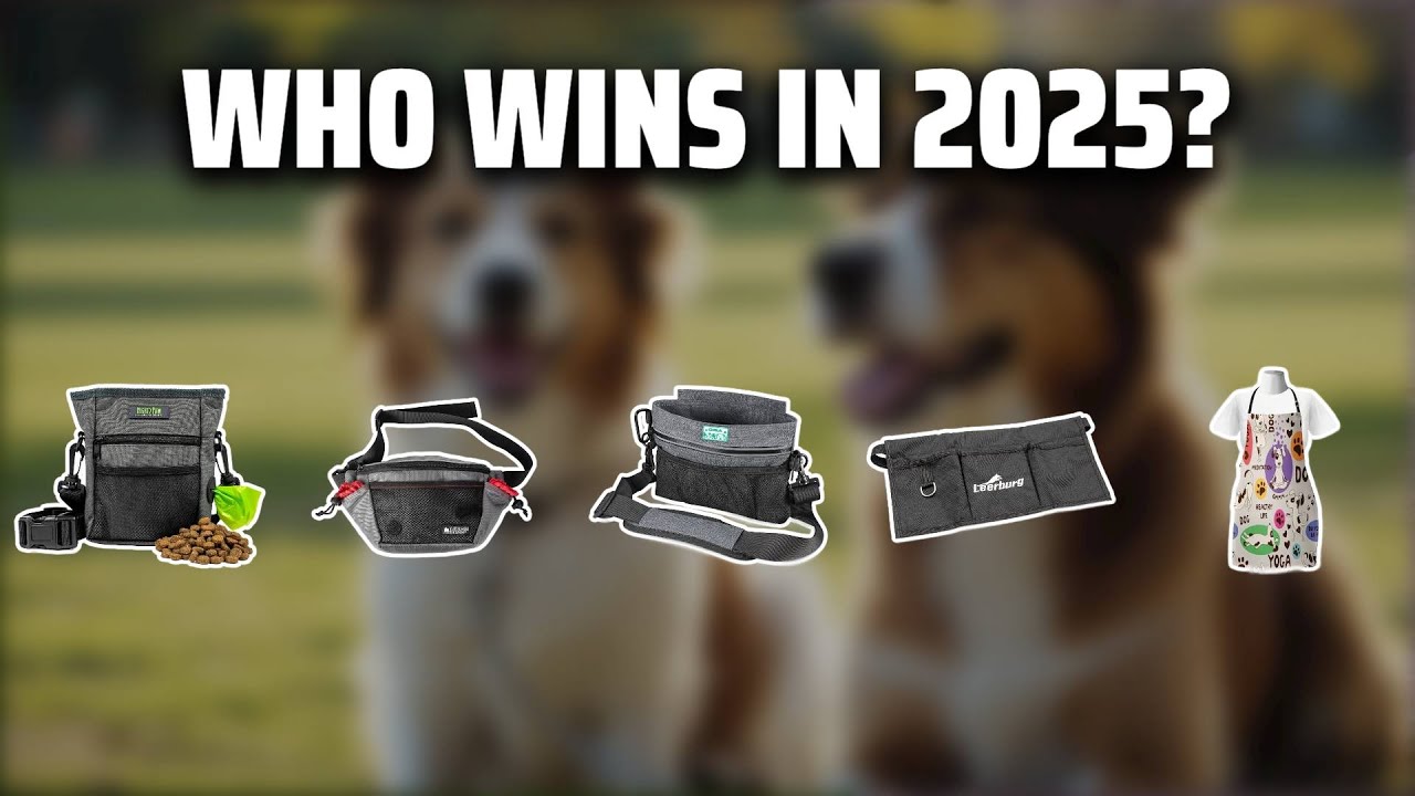 The Top 5 Best Dog Training Apron in 2025 - Must Watch Before Buying!
