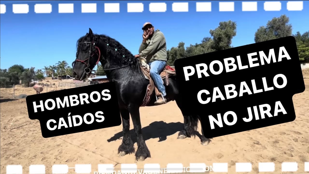 Caballo de baile. Hombros caídos. Caballo invertido