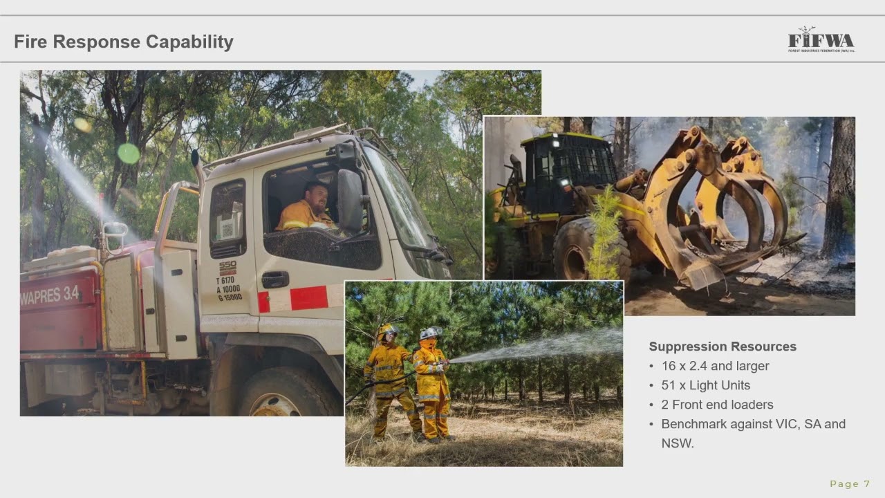 Fires and Plantation Forestry