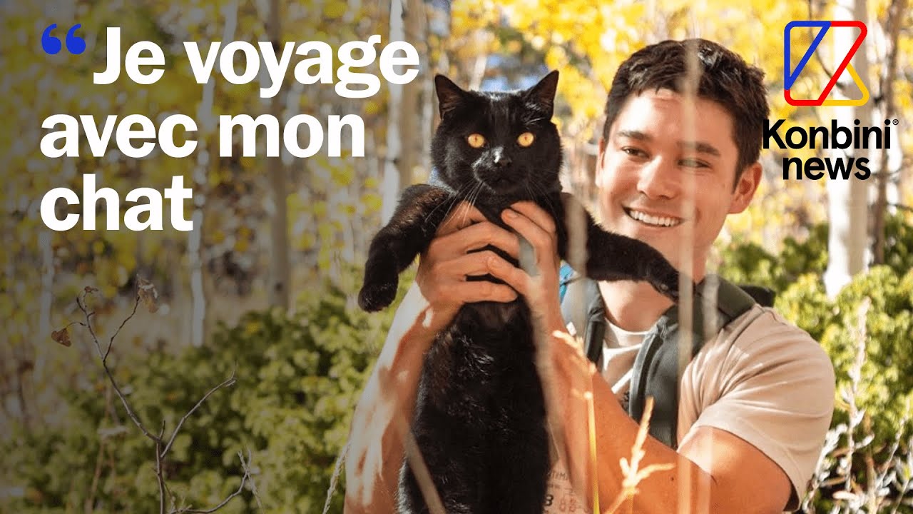 Simon, le chat le plus iconique de Tiktok qui parcourt le monde