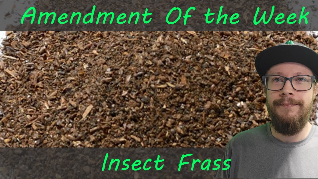 Amendment Of The Week: Insect Frass the Waste Diverter