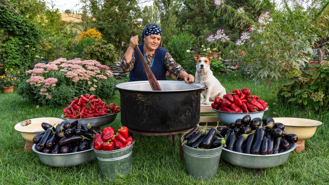 Village Cooking &ndash; Savory Georgian Eggplants for Cold Days 🍆🌿
