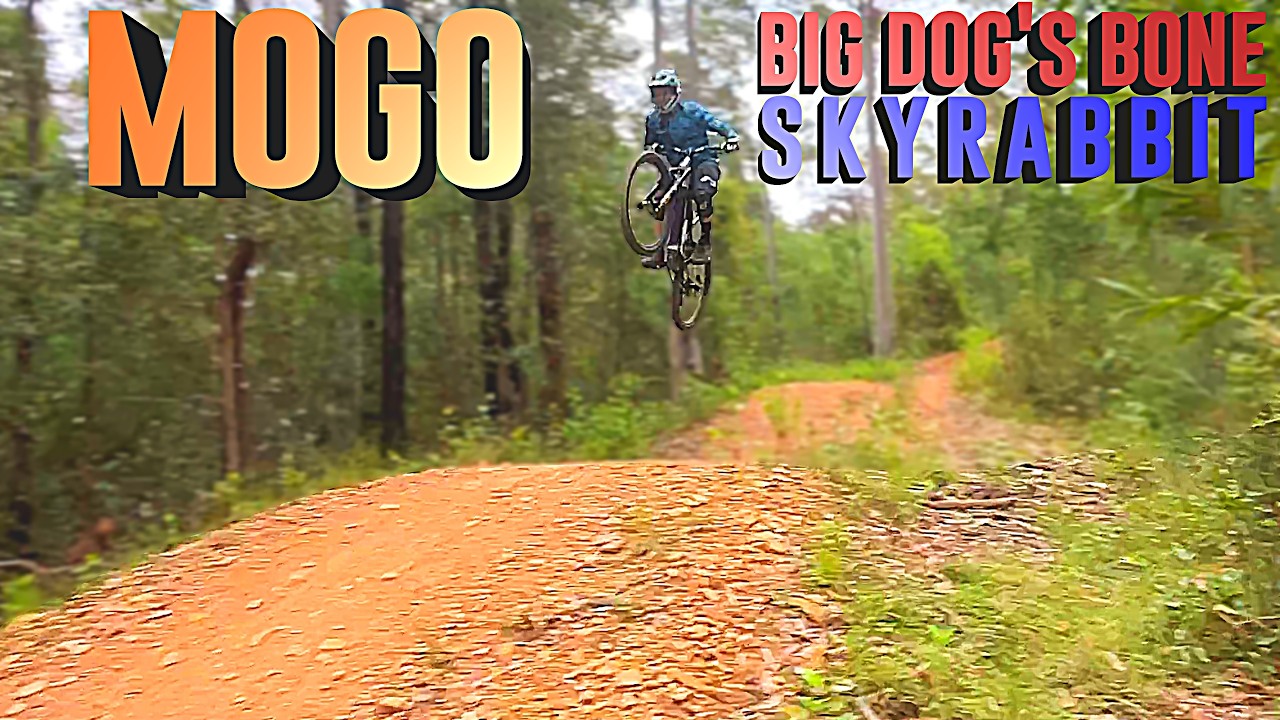 ЛУЧШИЕ ТРАССЫ ДЛЯ ГОНЧЕСКОГО ВЕЛОСИПЕДА MOGO - SKYRABBIT И BIG DOG'S BONE