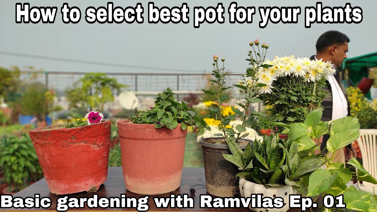 गमलों का चुनाव कैसे करें || Basic gardening with Ramvilas ji || Ep. 01