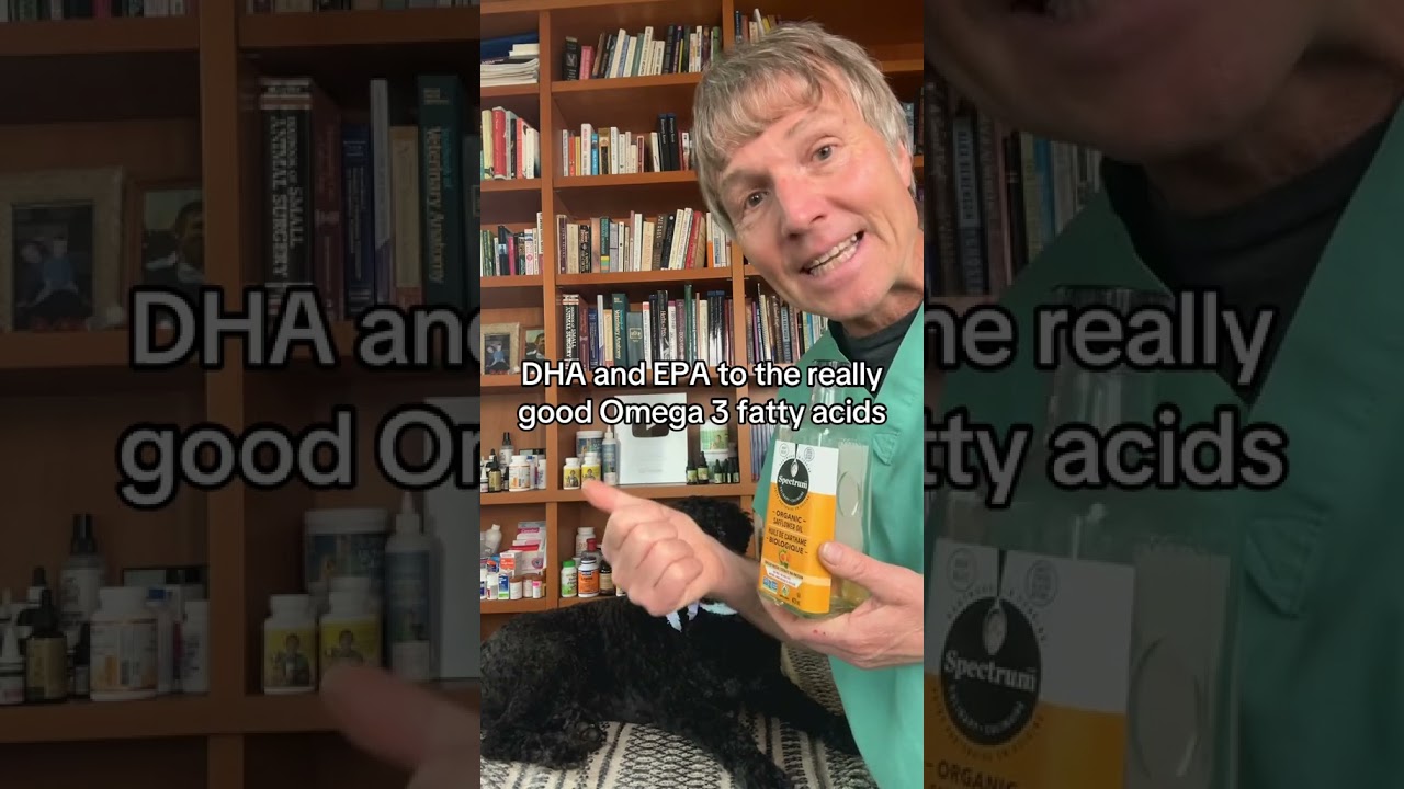 Dog with allergies, acne or ezcema? Healthy kitchen oil which really works!