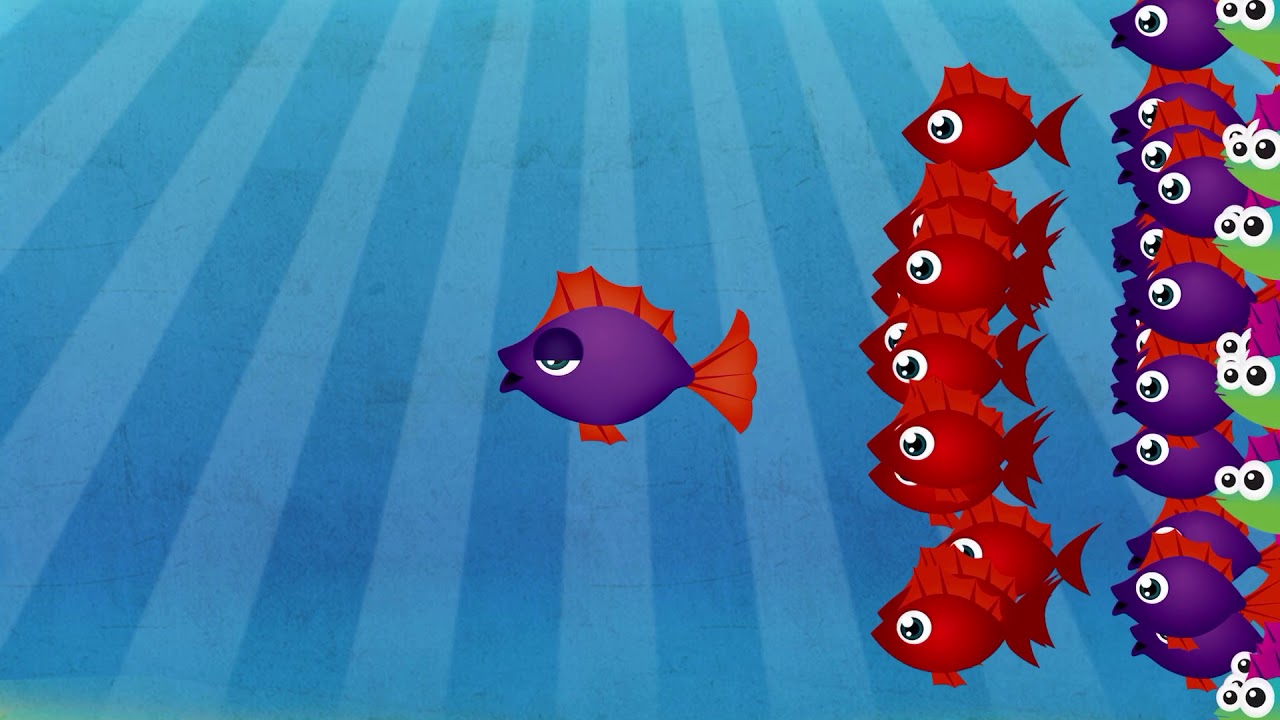 FISH SCHOOL