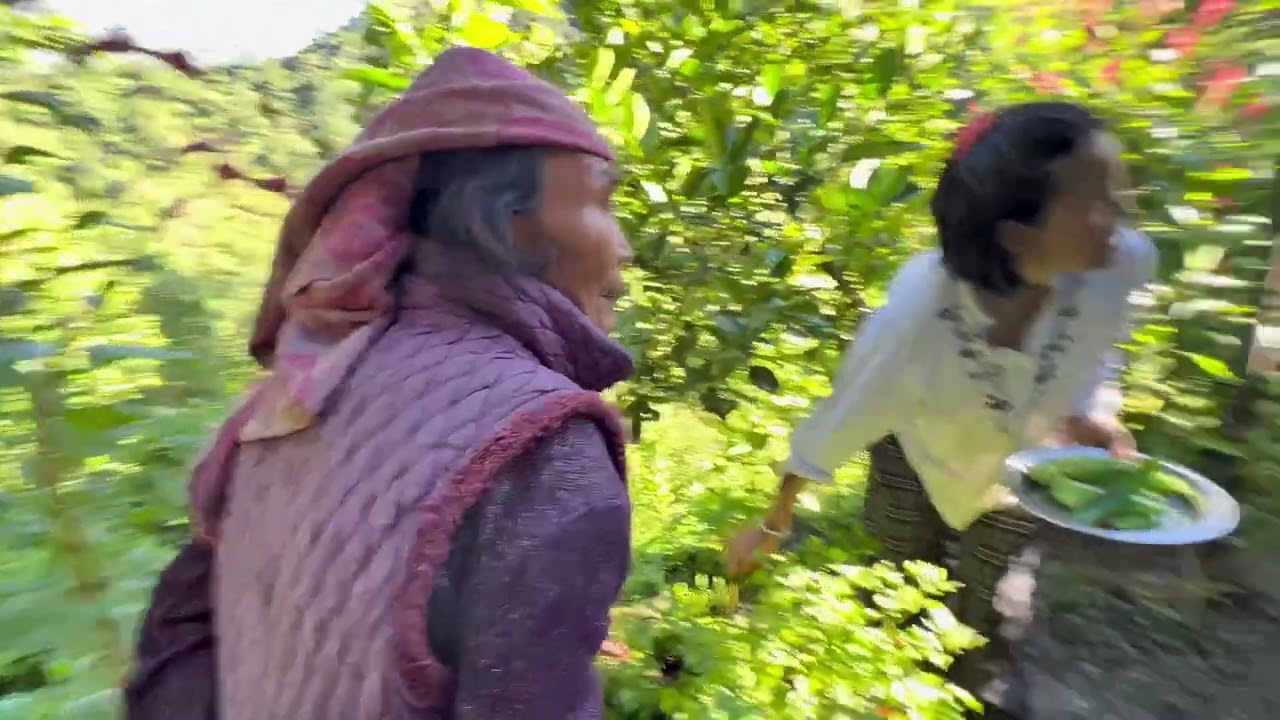 The original lifestyle, language and culture of the village.