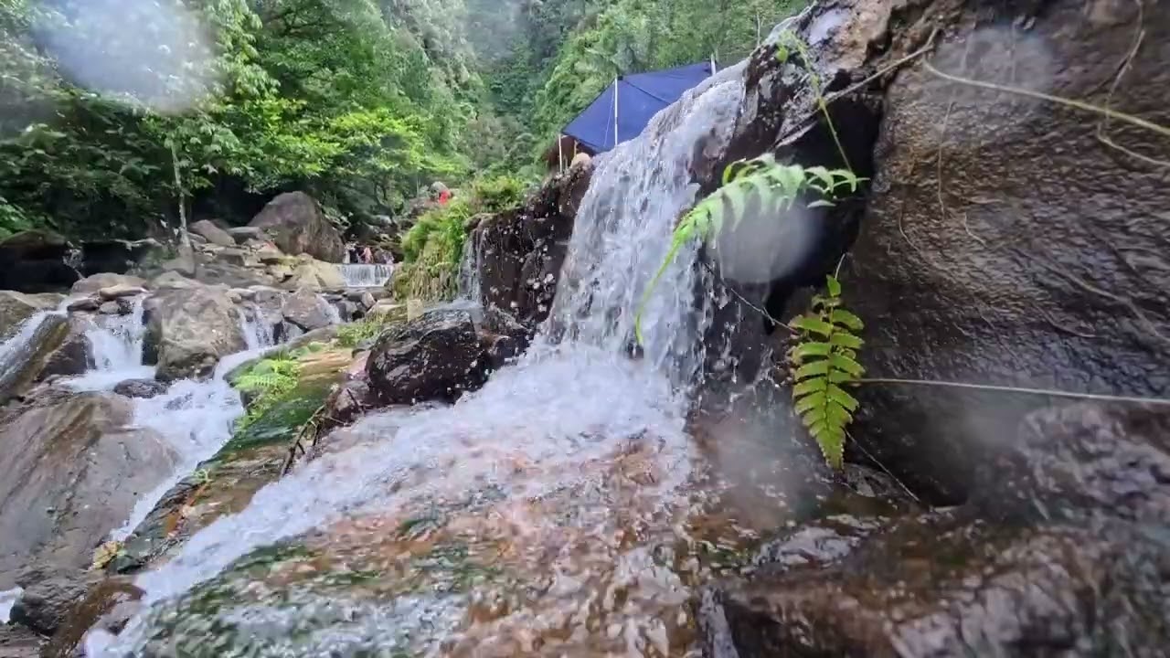 Relaxing Water Stream Sounds to Help You Sleep Fast
