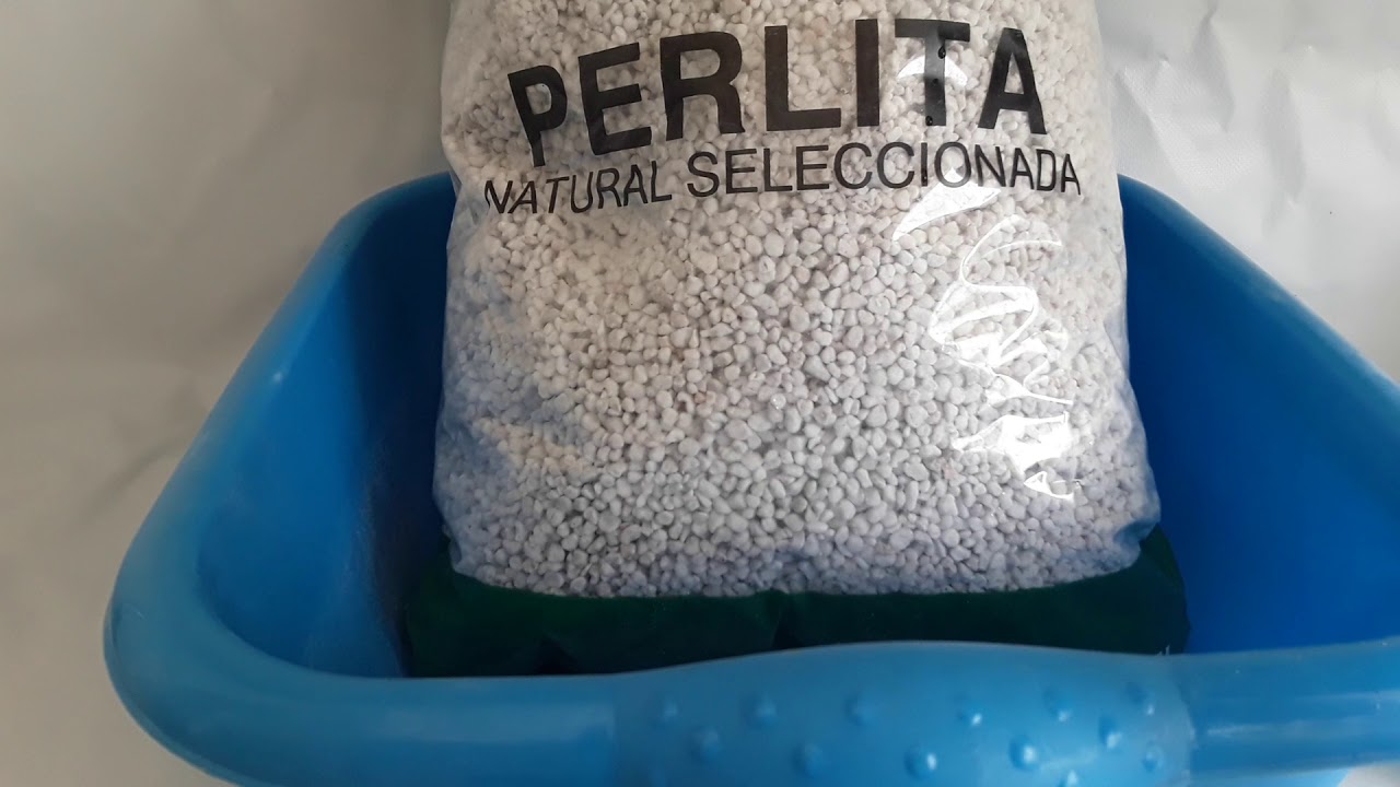 ¿Para qué sirven PERLITA y VERMICULITA? Violetas africanas.
