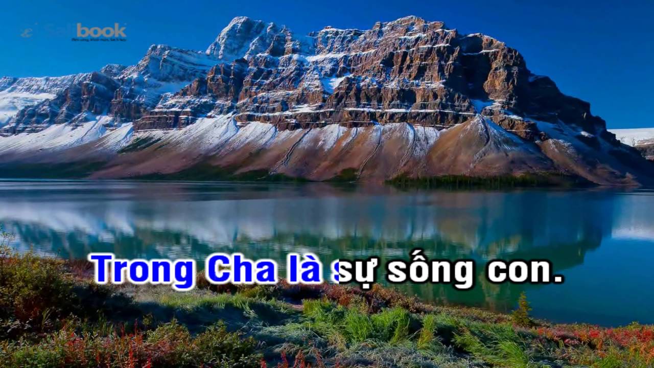 [Karaoke TVCHH] 193- TRONG CHA  - Salibook