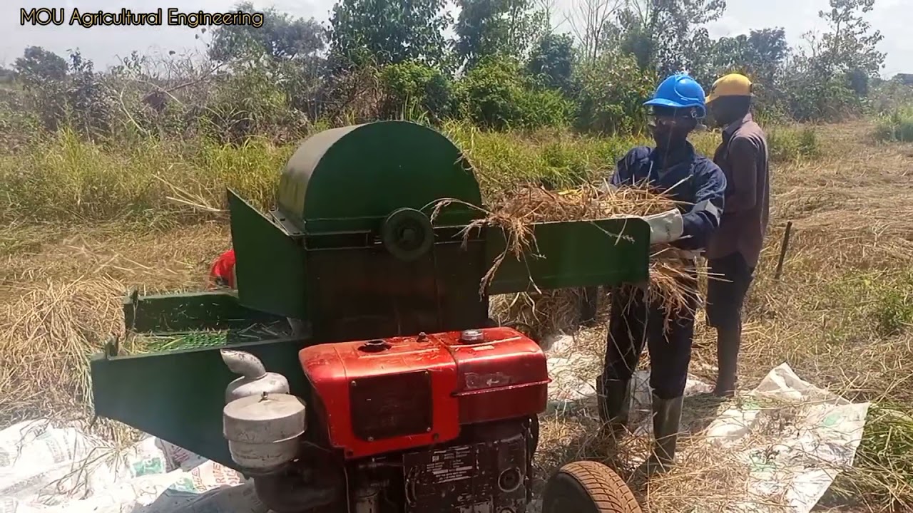 Father Land Rice Threshing Machine Review