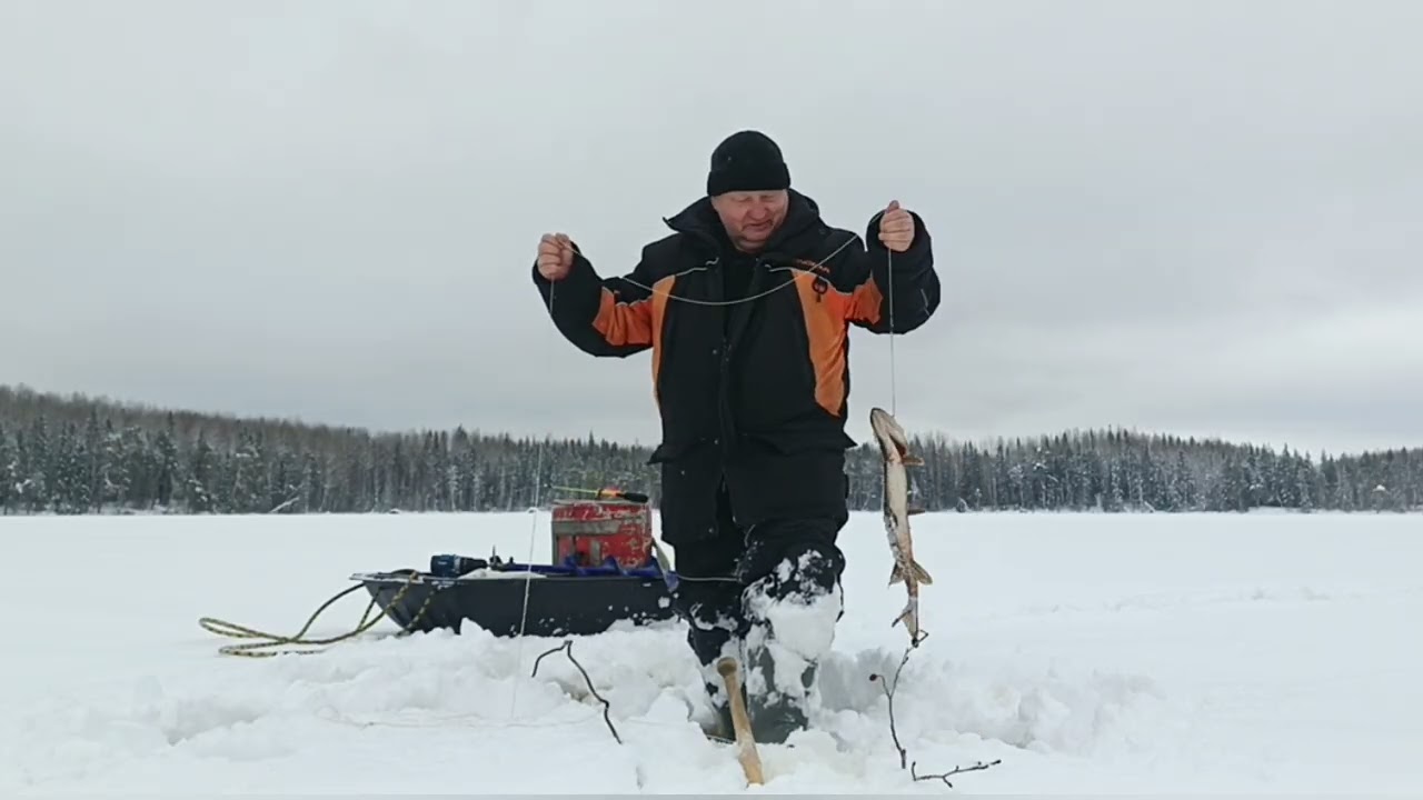 Проверка самоловок 1-го марта. Снежная прогулка.