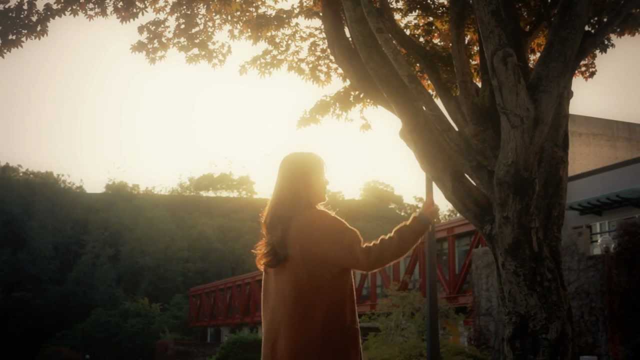 Cross K.C: Yes Man M/V