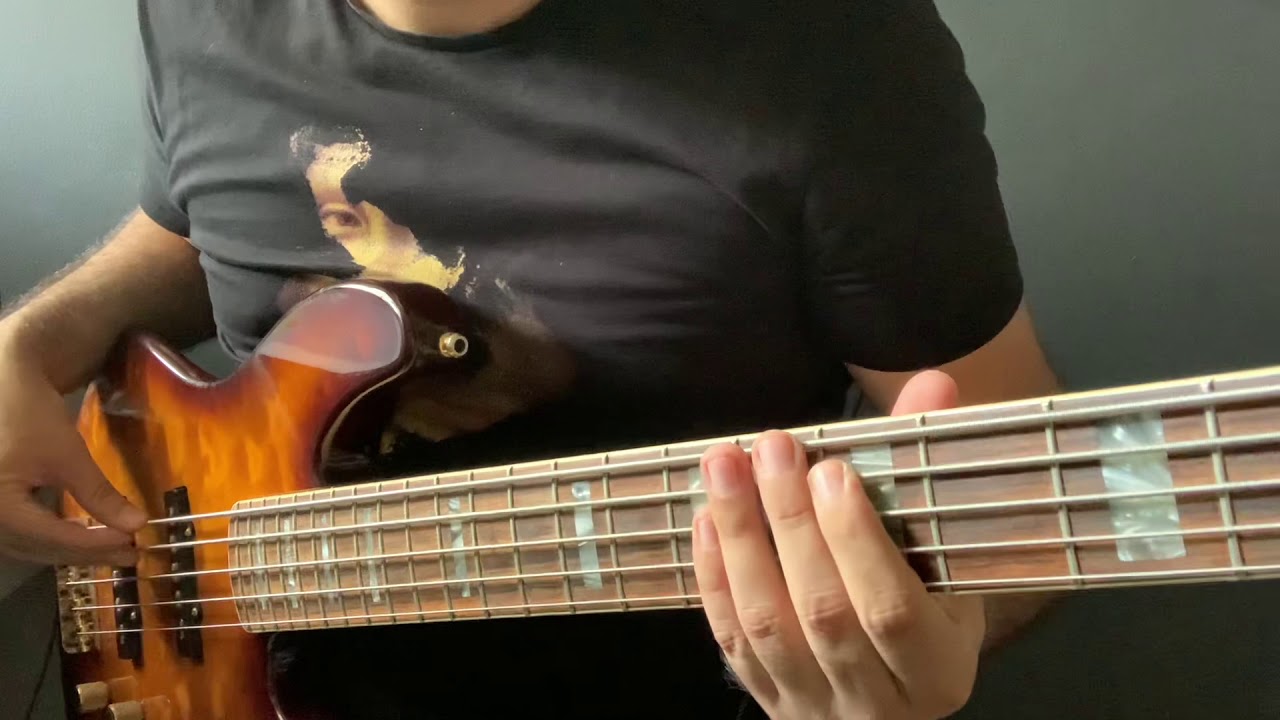 Ole Børud - Make a Change (Bass Cover)